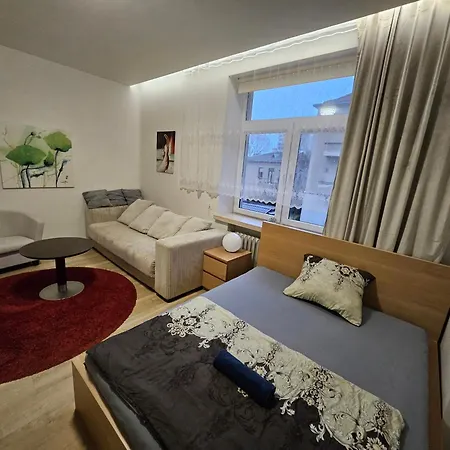 Kauno Apartamentai Big King Size Bed