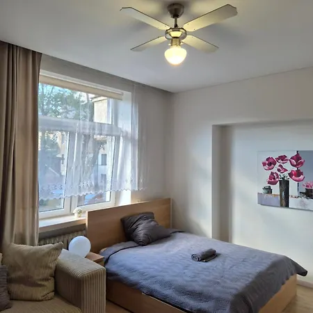 Kauno Apartamentai Big King Size Bed *