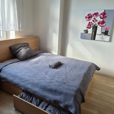 Kauno Apartamentai Big King Size Bed Pensjonat *