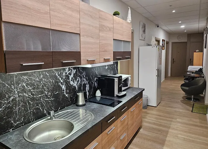 Kauno Apartamentai Big King Size Bed Vendégház