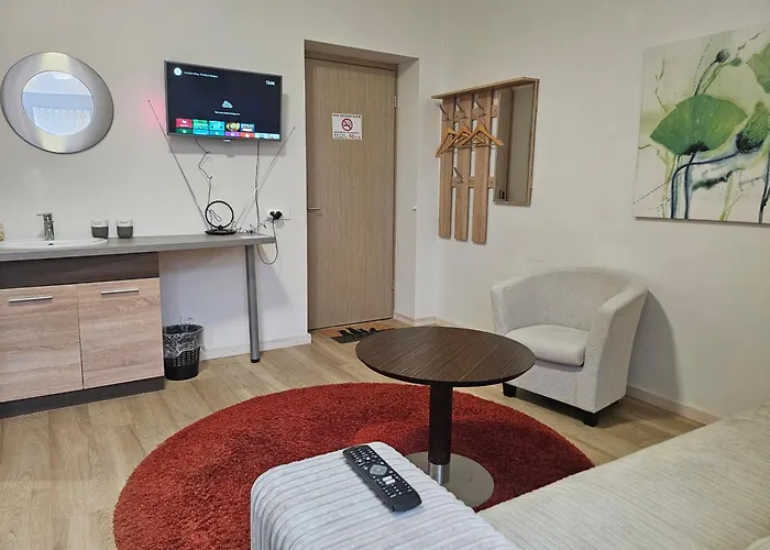 Kauno Apartamentai Big King Size Bed *