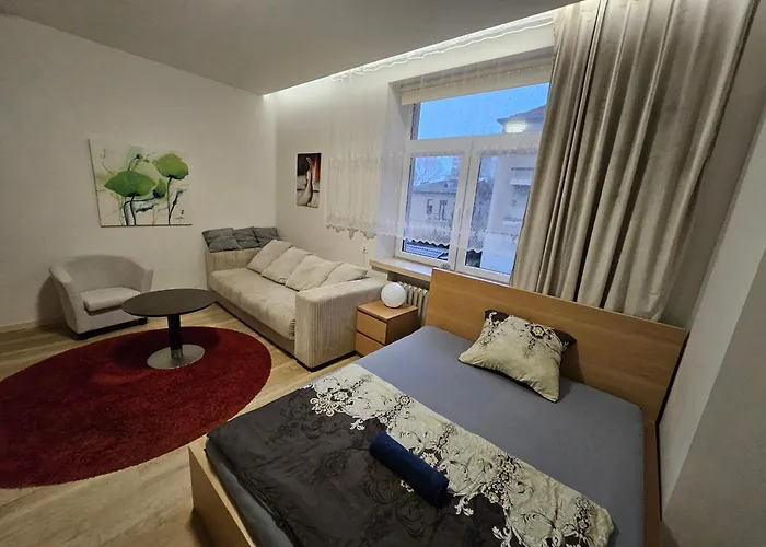 Kauno Apartamentai Big King Size Bed